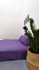 Surabaya Homey near ITS Syariah