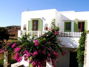 Elena Studios & Apartments Paros Greece