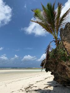 Romantic Beach House Vipingo