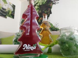 Apartman NINA Wind Resort