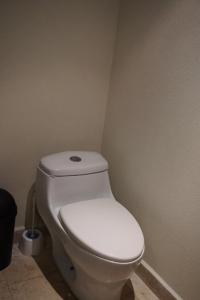 Departamento Diana Downtown Reforma