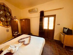 Single Room room in Nefertiti Hotel Luxor