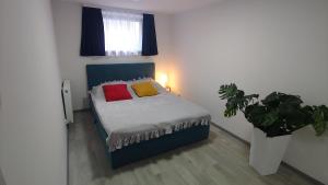 Apartament Arkadia Storczyk