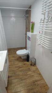 Apartament Arkadia Storczyk