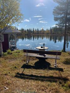 Forest Cabin in Swedish Lapland - A Retreat to Silence and Nature