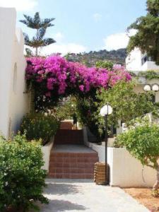 Anastasia Hotel Stalis - Half Board Heraklio Greece