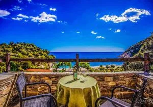 Palia Damouhari - 达默查理