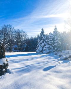 Zova Deluxe Apartment