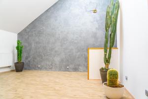 Apartmán ZA-KA 1 ubytování Litovel