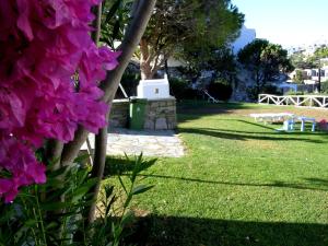 Elena Studios & Apartments Paros Greece