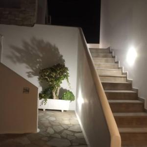 Elena Studios & Apartments Paros Greece