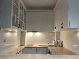 Apartman White- Vila Peković