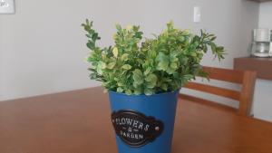 Apartamento completo centro Tijucas