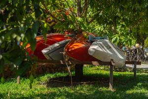 Nary Garden