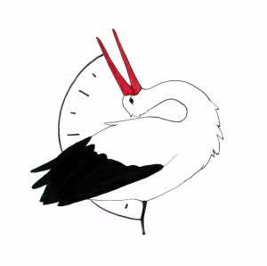 Le temps des cigognes