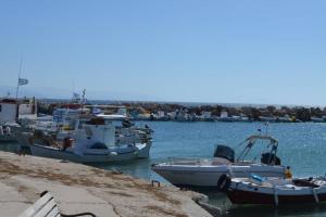 Seaview Ampelas Villa Paros Greece