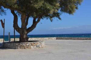 Seaview Ampelas Villa Paros Greece