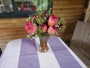 Tsitsikamma Garden Chalets