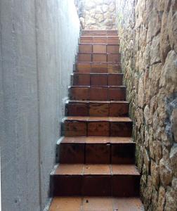 ALL IN ONE. TODO EN UNO.