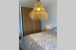 Appartements Appartement Face a la Mer -Port d'Audierne : photos des chambres