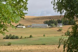 B&B / Chambres d'hotes Horizon Aubrac Laguiole : photos des chambres