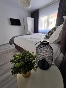 Apartament Central Iulia