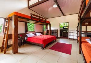 La Anita Rain Forest