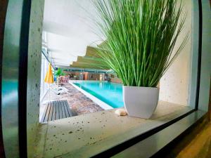 RuheZeit - inclusive Pool & Sauna