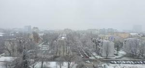 Luna Apartments, apartments with style