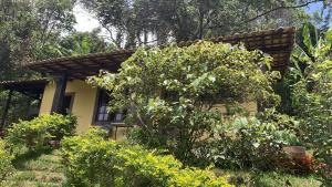 Vale das Estrelas - vale das videiras - araras