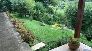 Vale das Estrelas - vale das videiras - araras