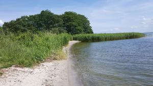 Appartement "Kliffkante" mit Penthouseflair - Oase am Haff