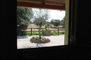 Agriturismo Pira Pinta img18