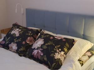 Apartament Słoneczny 27 Słoneczna Dolina Jastrzębia Góra