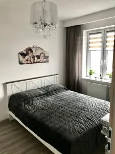 Apartament na Skrzypka - Dębowiec