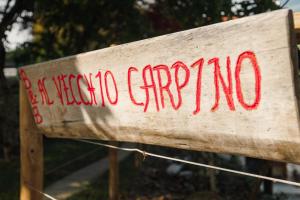 B&B AL VECCHIO CARPINO