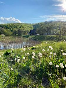 Дом у озера