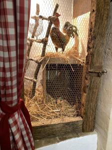 Maisons de vacances Gite le Normand : photos des chambres