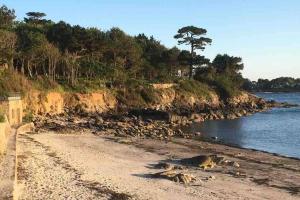 Maisons de vacances L'olivier du Cabellou, a 900 m des plages : photos des chambres