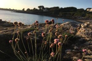 Maisons de vacances L'olivier du Cabellou, a 900 m des plages : photos des chambres