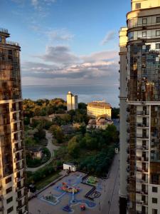 Apart Arcadia Kadorr 8