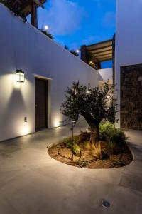 Villa Miraval by Blanco Villas Myconos Greece