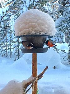 Ounasloma Holiday Cottages