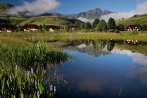 Monte Video-Deo Gloria