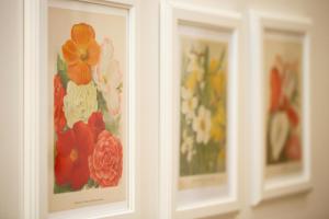 HT Residence Maximus