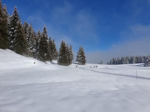 Chalets le chalet : photos des chambres