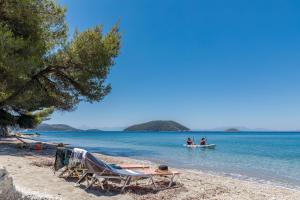 Stamatiou Estate Skopelos Greece