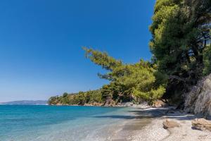 Stamatiou Estate Skopelos Greece