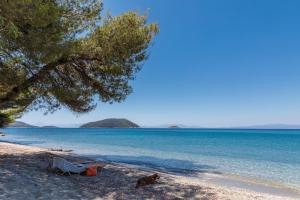 Stamatiou Estate Skopelos Greece