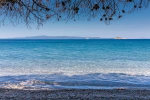 Stamatiou Estate Skopelos Greece